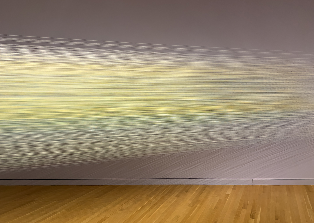 Hundreds of threads of yellow fibers stretching across a gallery
