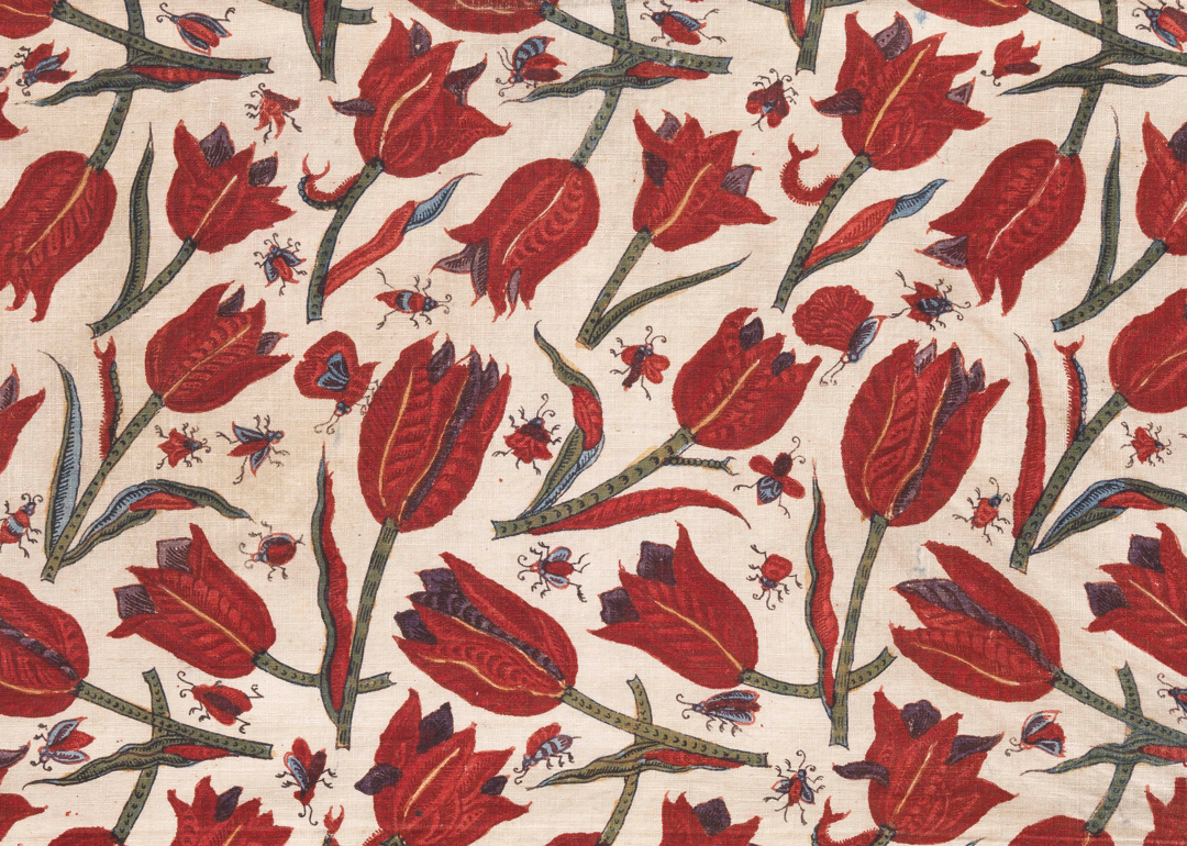 12 Famous Indian Fabric Prints That Reflect Indian Heritage