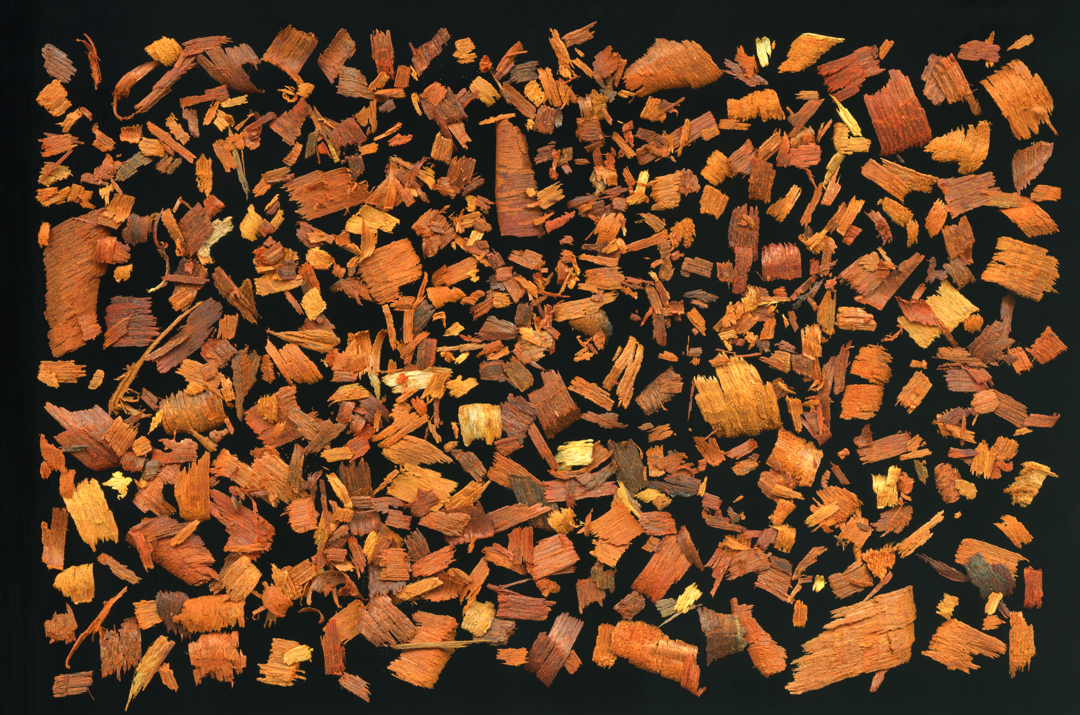 Logwood chips