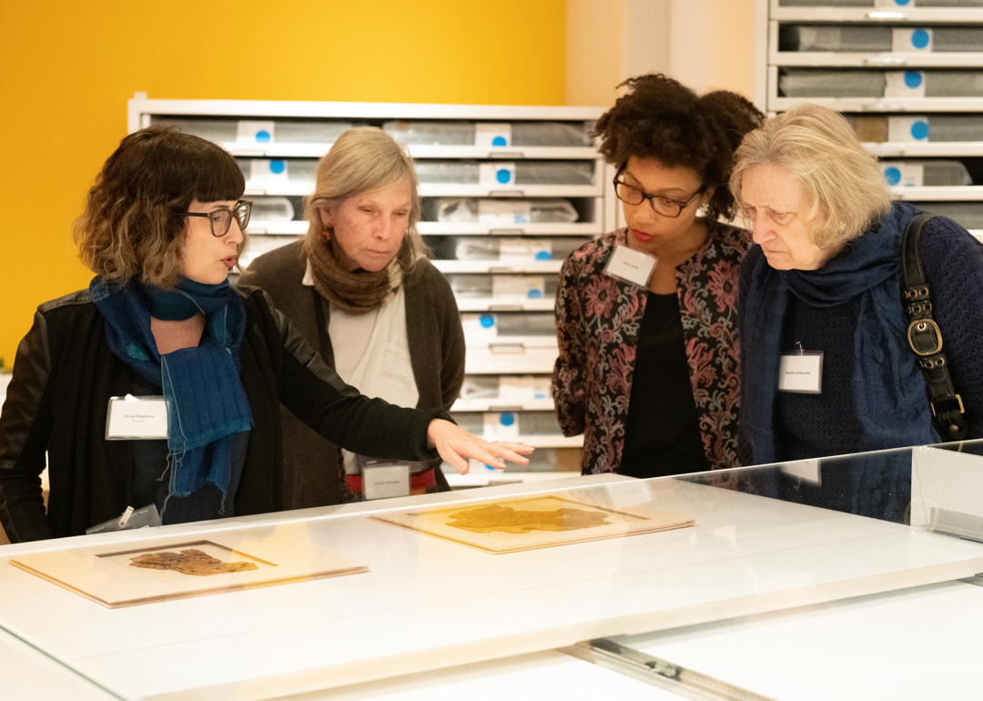 4 women looking at textiles under glass