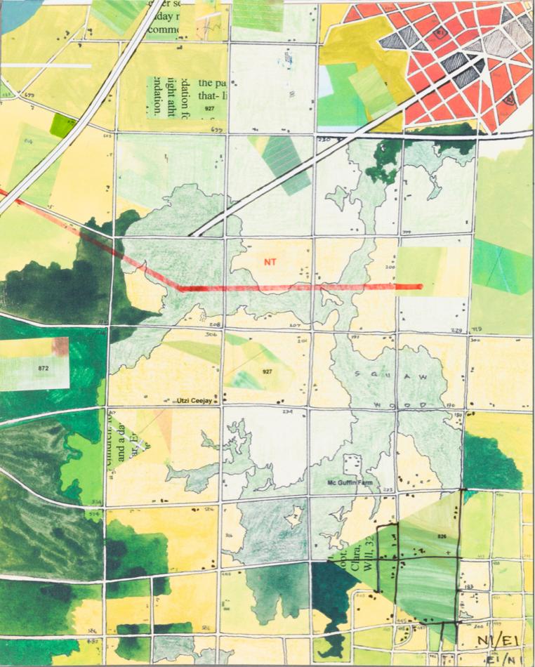 Green collage resembling a bird's-eye view farmland landscape 