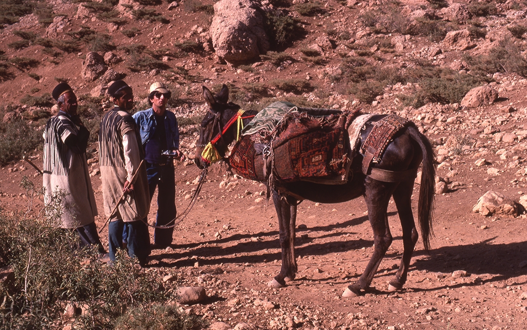 Three men stand with a donkey in a rocky desert. The donkey has a woven saddlebag across its back.