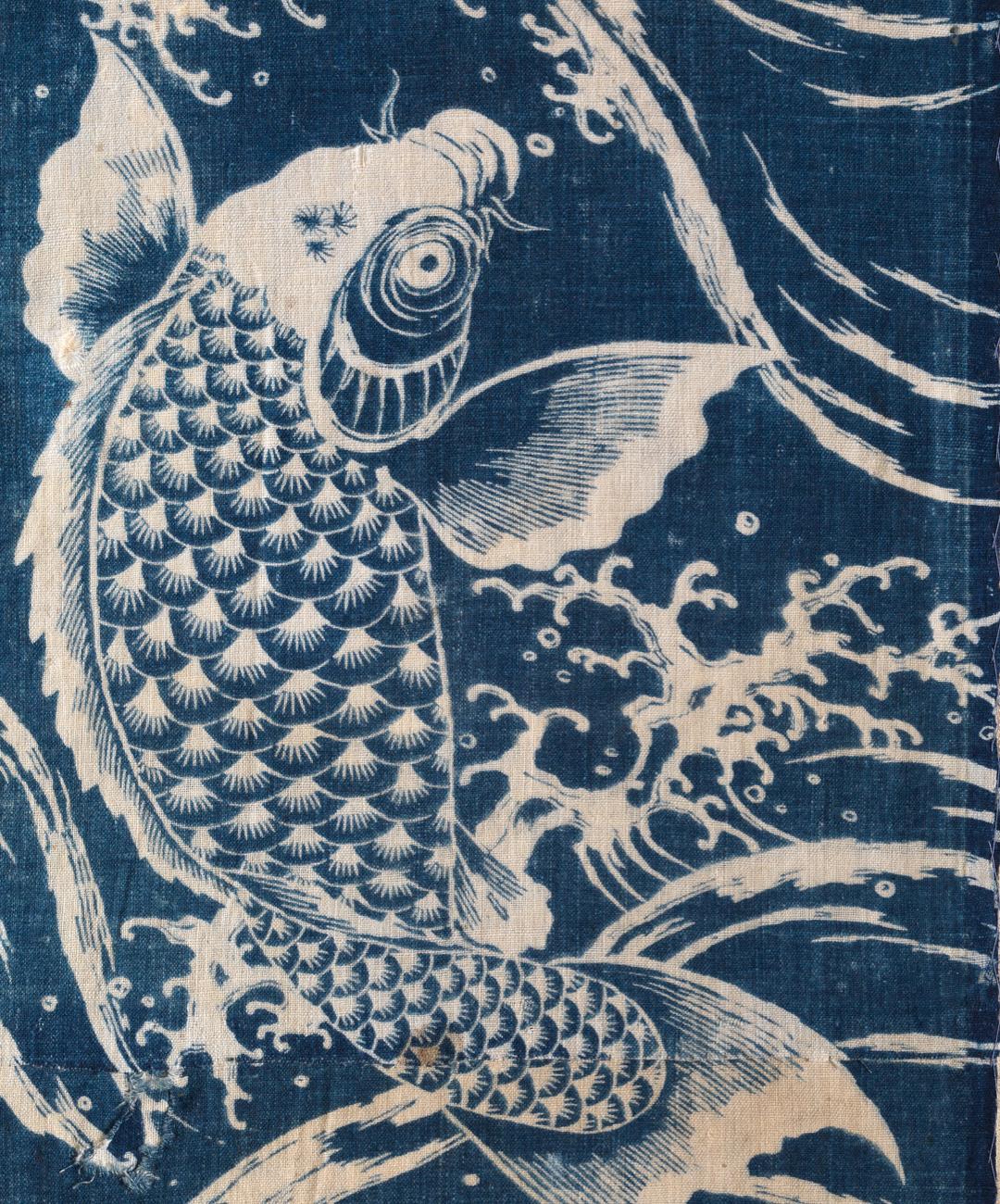 Carp jumping out of water